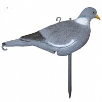 Опудало вяхиря. Сторожовий