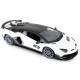 Машинка Rastar Lamborghini Aventador SVJ (96070) на радиоуправлении. 1:14. Белый
