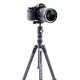 Штатив Vanguard Vesta FB 204AB (Vesta FB 204AB)