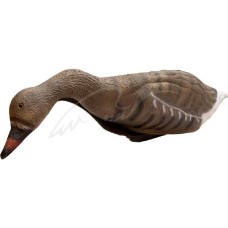 Підсадний гусак Birdland кормящийся