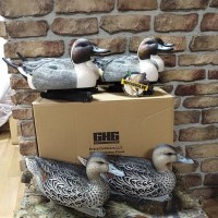 Чучела шилохвости Greenhead Life-Size комп. 6 шт.