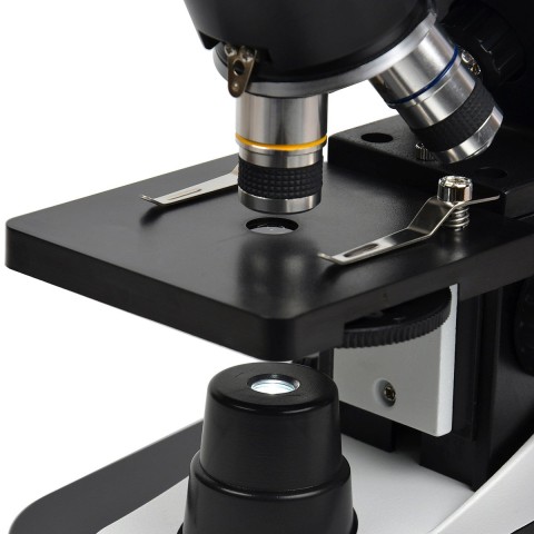 Мікроскоп SIGETA COREON 40x-1280x LED Mono
