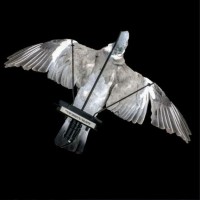 Голубиний махокрыл . голубиний магніт .електричний флэппер