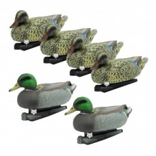 Комплект чучел 4 самки качки світлі 2 Свійські