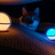 Фонарь кемпинговый Olight Sphere Blue