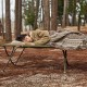 Ліжко складане Naturehike XJC05 NH20JJ001, Поліестер Oxford / алюміній, зелений