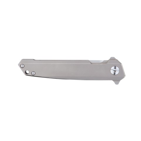 Ніж складаний туристичний Ruike M126-TZ, (9.1 см) steel 154СМ / TC4 (титан) сірий