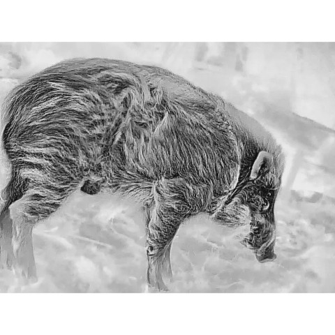 Монокуляр тепловізійний Guide TD431 LRF 2.6-10.4x35 384x288@12μm. 1800 м. Далекомір 600 м