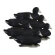 Чучела Лысухи HIGDON Standart Foam Filled 6шт.
