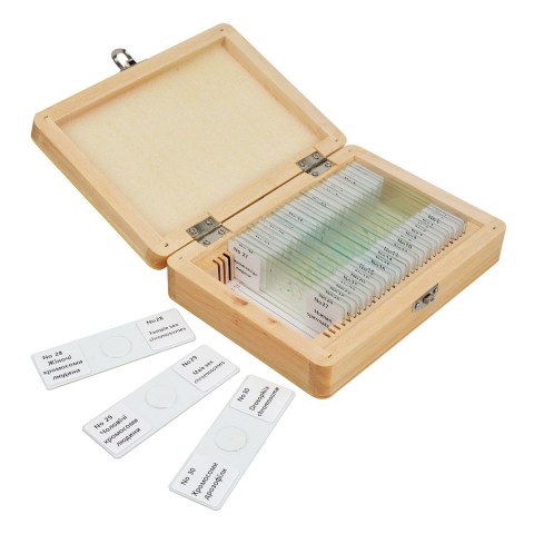 Набір мікропрепаратів SIGETA ADVANCE Загальна біологія (30 шт.)