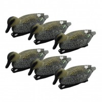 Комплект чуче качок 6 самок сірі