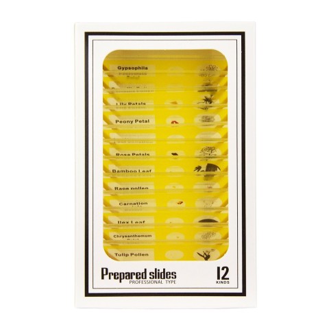 Набір мікропрепаратів SIGETA ENTRANCE Життєві цикли рослин (12 шт.)