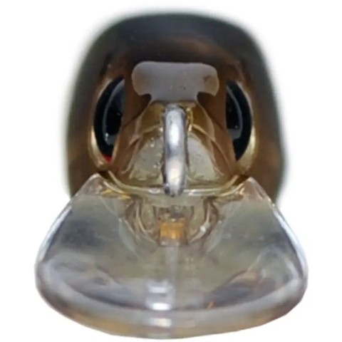 Воблер OSP Asura Durga 73 SP 73mm 4.7g S95 (1.4m)