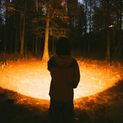 Ліхтар прожектор Naturehike CNK2300012, коричневий