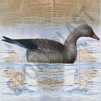 Чучело гуся гусяча плавальні Sport Plast