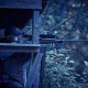 Тепловізійна насадка Pulsar Krypton 2 FXG50