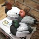 Опудала Diver Pack(нырковые)Greenhead серія Over-Size,заповнені піною серії Pro-Grade