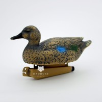 Чирок самка з синім пером