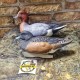 Чучела свиязи Greenhead серии Pro-Grade Комплект 6 шт.