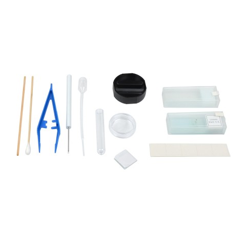 Мікроскоп SIGETA MB-113 40x-400x LED Mono