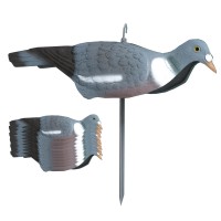 Полукорпусное опудало вяхиря Італія