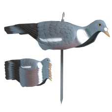 Полукорпусное опудало вяхиря Італія