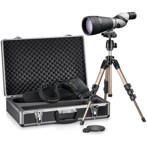 Труба подзорная Leupold Kenai 2 25-60x80 HD Straight Kit Gray/Black
