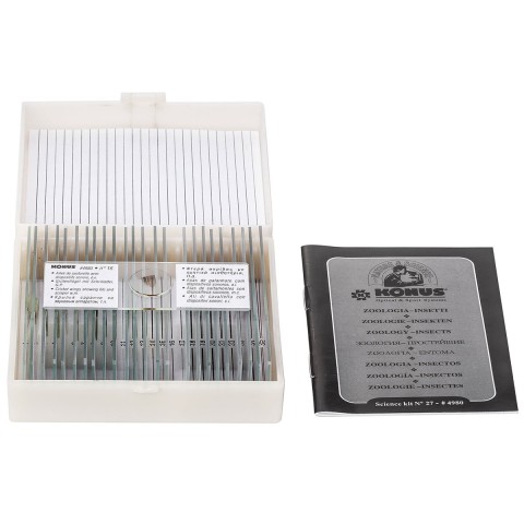 Набір мікропрепаратів KONUS Зоологія: Комахи (25 шт.)