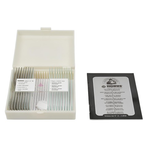 Набір мікропрепаратів KONUS Здорові тканини людського тіла, частина I (10 шт.)