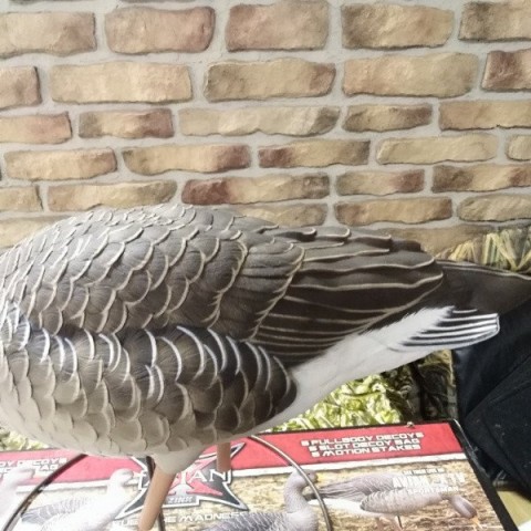 Чучела полнообъемных серых гусей-AXP Greylag Fusion Avian-X