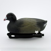 Опудало лиски. Лиска