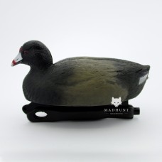 Опудало лиски. Лиска