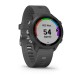 Смарт-годинник Garmin Forerunner 245 з сірийм ремінцем