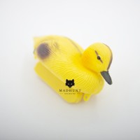 Пташеня крижні жовтий