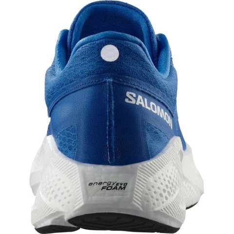Кросівки Salomon outdoor AERO GLIDE 3 9 French Blue/White/Cherry Tomato