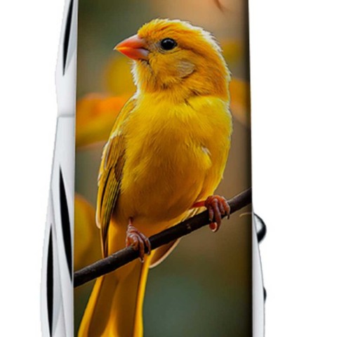 Ніж Victorinox Spartan Ukraine 91мм,13функ ,Золота пташка