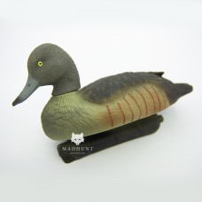 Чубата чорніти