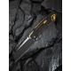 Ніж складаний тактичний Civivi Buster FG, (10.7 см) Nitro-V / G10 чорно-золотий