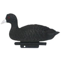 Опудало лиски/ лиски.