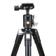 Штатив Vanguard Vesta TB 235CB (Vesta TB 235CB)