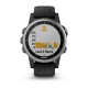 Смарт-часы Garmin fenix 5S Plus серебристо-черные с черным ремешком