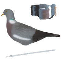 Припутень полукорпус, сторожовий