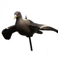 Припутень летить/ширяючий з кільцем