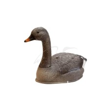 Підсудний гусак Birdland пливе