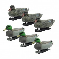 Комплект опудал качок 3 самки темні, 3 самця