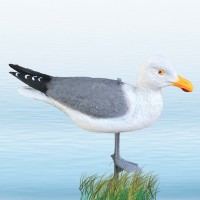 Чайка на стійці