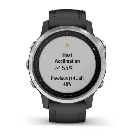 Смарт-часы Garmin fenix 6S серебристые с черным ремешком
