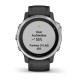 Смарт-часы Garmin fenix 6S серебристые с черным ремешком