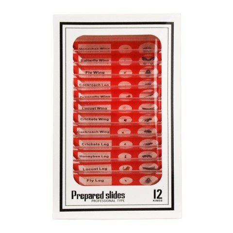 Набір мікропрепаратів SIGETA ENTRANCE Будова комах (12 шт.)