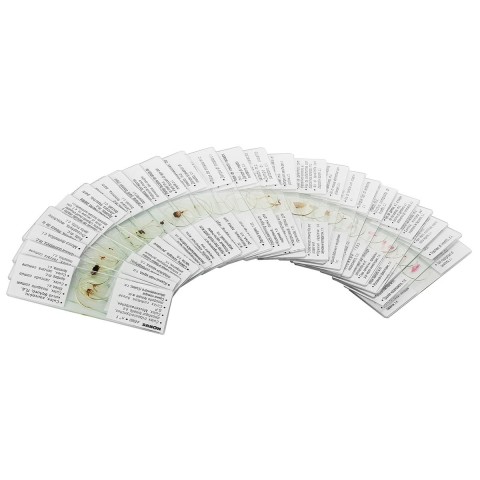 Набір мікропрепаратів KONUS Зоологія: Комахи (25 шт.)